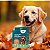 Kit 6 Coleira Natural Neem e Erva Santa Maria Cães Gatos Zenpet - Imagem 9