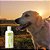 Spray Neem Pet  Bioprotetor Repelente para Cachorro e Gato 250ml Vetfleur - Imagem 2