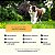 Suplemento para Cães Adultos | Reforço Nutricional | Nutroplus Reforce 180 g - Imagem 3