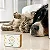 Kit Loção Desembaraçadora + Sabonete Cicatrizante para Cães e Gatos - Imagem 3