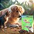 Petisco para Cães e Gatos Snack Moela de Frango 60g Good Lovin - Imagem 2