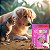 Petisco para Cães e Gatos Snack Focinho Suíno 6un Good Lovin - Imagem 2
