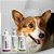 Kit Cuidado Essencial Spray Pele para Cachorro e Gato Wesen Green - Imagem 2
