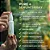 Kit Cuidado Essencial Spray Pele para Cachorro e Gato Wesen Green - Imagem 4