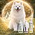 Kit Restauração de Pele Irritada para Cães e Gatos | Shampoo, Hidratante e Loção Natural - Imagem 2