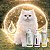Kit Restauração de Pele Irritada para Cães e Gatos | Shampoo, Hidratante e Loção Natural - Imagem 4