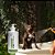 Kit Restauração Pele para Cachorro e Gato Wesen Green - Imagem 5