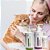 Kit Cuidados Pele e Ouvido para Cachorro e Gato Wesen Green - Imagem 2