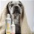 Kit Hidratação Proteção Nanobalm Otospheres para Câes Gatos Wesen Green - Imagem 2