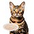Petisco para Gato Cremoso Sabor Salmão e Cranberry - 5 Sachês - Trully - Imagem 2