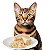 Petisco Enlatado para Gato Sabor Frango e Atum 95g - Truly - Imagem 2