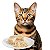 Petisco Enlatado para Gato Sabor Frango e Salmão 95g - Truly - Imagem 2