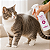 Banho a Seco para Cães e Gatos 200ml Vetfleur - Imagem 3