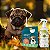 Kit Repelente Coleira Zenpet Cães Filhotes e Spray Bioprotetor Neem Vetfleur 200ml - Imagem 2