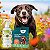Kit Repelente Natural Coleira Zenpet Cães Grandes e Spray Bioprotetor Vetfleur 200ml - Imagem 2