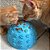 Comedouro para Cães e Gatos Tigela de Lamber Verde - ÓrienPet - Imagem 3