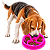Comedouro Lento para Cães Círculos Rosa | ÓrienPet - Imagem 2