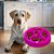 Pote Comedouro Cães Funcional Círculos Rosa ÓrienPet - Imagem 2