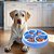 Pote Comedouro Cães Funcional Círculos Azul ÓrienPet - Imagem 2