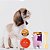Kit Brinquedo Cães Pequenos Jambo Pet - Imagem 2