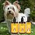 Kit Shampoo+Condicionador+Fluído Desembaraçador para Cães Gatos - Granado - Imagem 2
