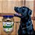 Biscoito Natural para Cachorro Banana e Aveia 1Kg – Krocão - Imagem 2
