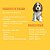 Biscoito Natural para Cachorro Banana e Aveia 1Kg – Krocão - Imagem 4