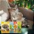 Coleira Natural para Cães Gatos Antiestresse de Capim Limão - Bella Goella - Imagem 3