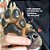 Kit Spray Neem Pet Repelente Natural e Paw Balm para Cães - Imagem 2