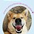 Kit Spray Neem Pet Repelente Natural e Paw Balm para Cães - Imagem 4