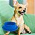 Comedouro para Cachorro Anti-formiga Prime N1 300ml Vermelho - Furacão Pet - Imagem 2