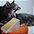 Arranhador para Gato Rampa Cinza - Furacão Pet - Imagem 3