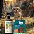 Kit Repelente Natural Zenpet | Coleira Zenpet para Cães Pequenos + Spray Neem Pet – Frete Grátis Brasil - Imagem 2