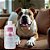 Spray Limpeza Patas Corpo para Cães 500ml Refil Vetfleur - Imagem 2