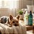 Kit Proteção e Bem-estar Pet | Bioprotetor com Neem e Spray Ambiente Calmalyda | Zenpet - Imagem 2