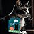 Kit Coleira Zenpet Gatos + Suplemento Cogumelos Pet - Imagem 4