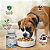Kit Coleira Zenpet Cães Médios + Suplemento Cogumelos Pet - Imagem 2