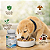 Kit Coleira Zenpet Cães Filhotes + Suplemento Cogumelos Pet - Imagem 2