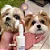 Espuma Limpa Bigodes e Patinhas para Cães e Gatos 150ml - Wesen Green - Imagem 2
