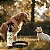 Kit Spray Citronela Pet e Coleira Neem e Erva Santa Maria para Cães Médios - Zenpet - Imagem 2