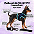 Peitoral de Neoprene com Guia para Cães PP | Luna Lua - Imagem 5