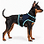 Peitoral de Neoprene com Guia para Cães PP | Luna Lua - Imagem 3