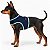 Peitoral de Neoprene com Guia para Cães PP | Luna Lua - Imagem 1