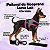 Peitoral de Neoprene com Guia para Cães PP | Luna Lua - Imagem 10