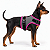 Peitoral de Neoprene com Guia para Cães PP | Luna Lua - Imagem 8