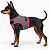 Peitoral de Neoprene com Guia para Cães PP | Luna Lua - Imagem 6