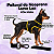 Peitoral de Neoprene com Guia para Cães PP | Luna Lua - Imagem 15