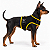 Peitoral de Neoprene com Guia para Cães PP | Luna Lua - Imagem 13