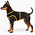 Peitoral de Neoprene com Guia para Cães PP | Luna Lua - Imagem 11