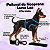 Peitoral de Neoprene com Guia para Cães PP | Luna Lua - Imagem 20